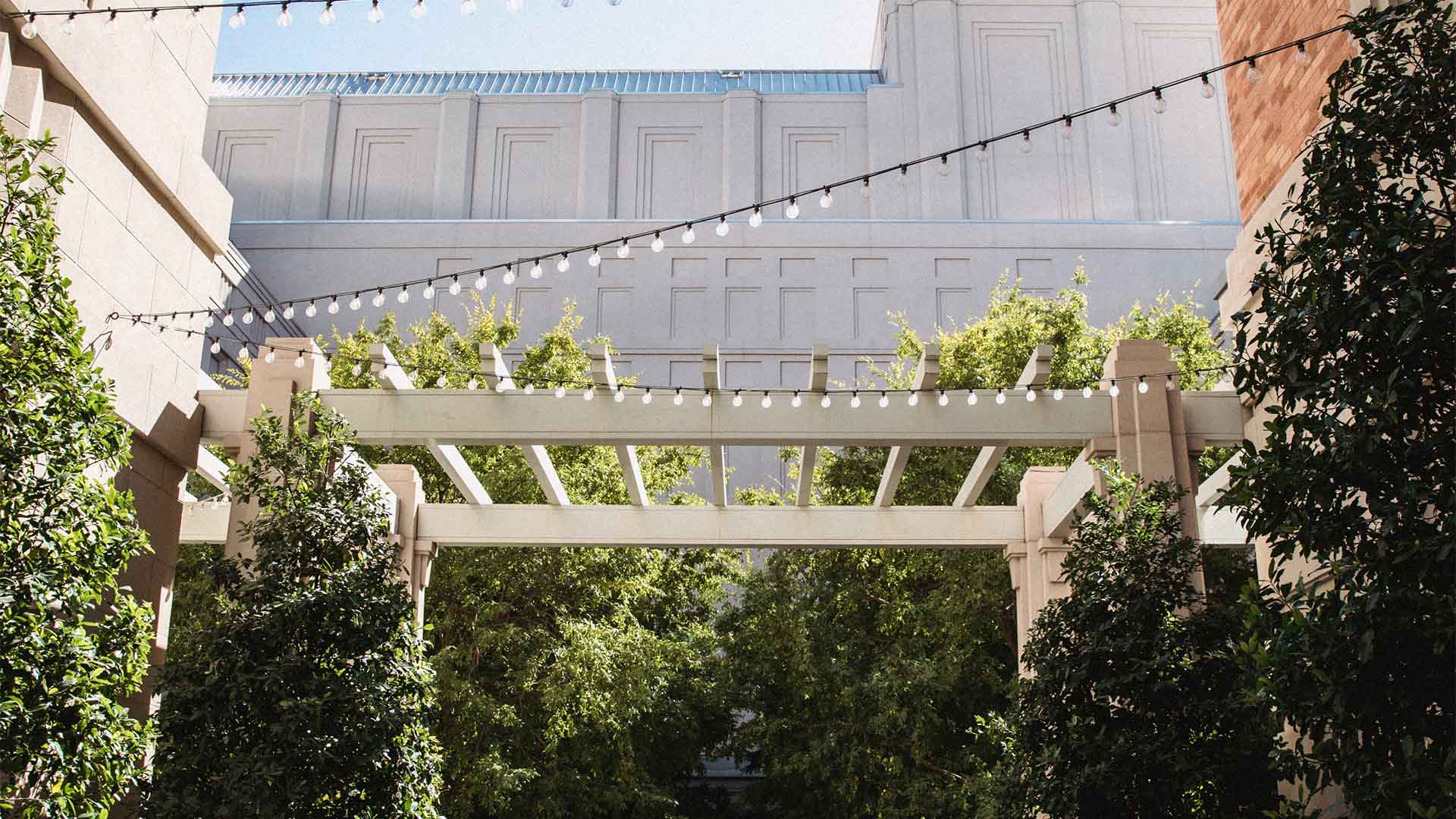 Courtyard with lush trees, large pergola, and string lights.